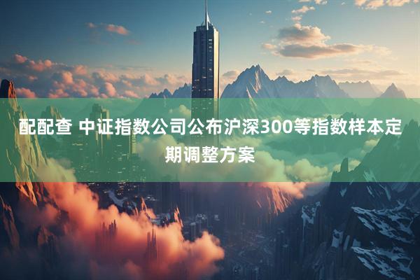 配配查 中证指数公司公布沪深300等指数样本定期调整方案