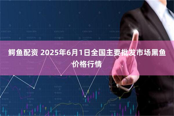 鳄鱼配资 2025年6月1日全国主要批发市场黑鱼价格行情
