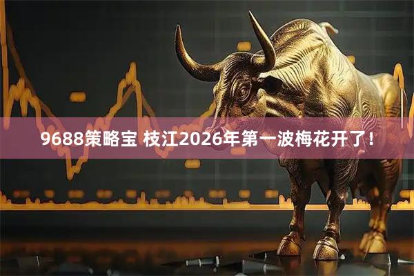 9688策略宝 枝江2026年第一波梅花开了！
