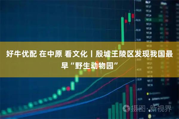 好牛优配 在中原 看文化丨殷墟王陵区发现我国最早“野生动物园”