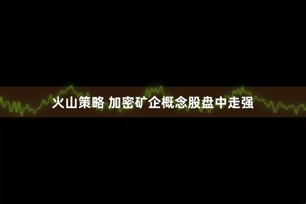 火山策略 加密矿企概念股盘中走强